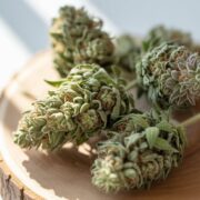 Cadrul legal pentru canabisul în România