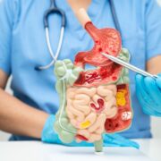 Cum lucrează împreună organele tale pentru digestie și metabolism?