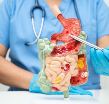 Cum lucrează împreună organele tale pentru digestie și metabolism?