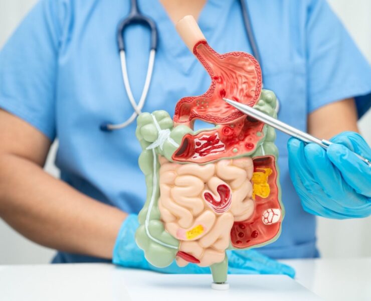 Cum lucrează împreună organele tale pentru digestie și metabolism?