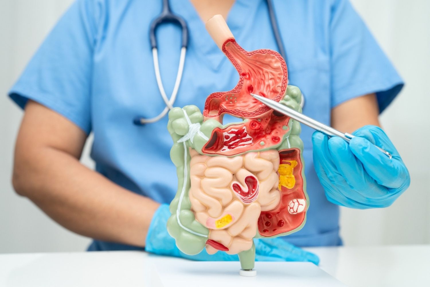 Cum lucrează împreună organele tale pentru digestie și metabolism?