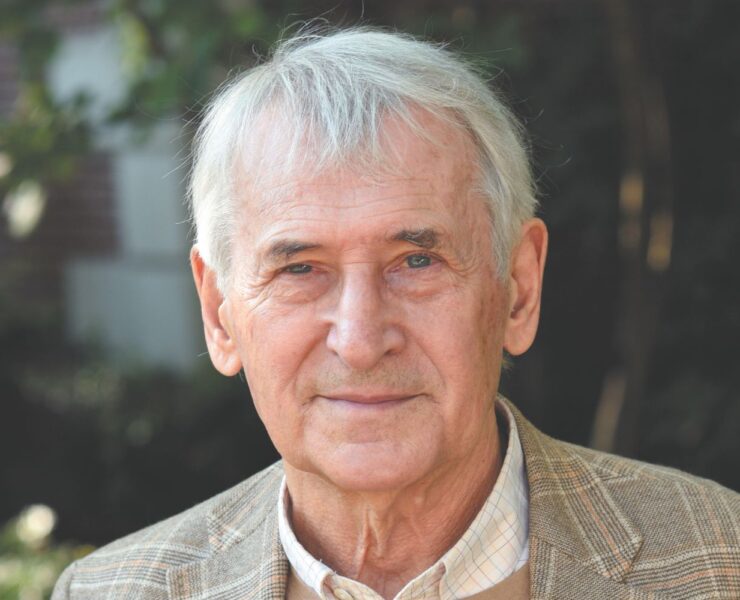 Există un șarpe sub covor? Privind dincolo de suprafață