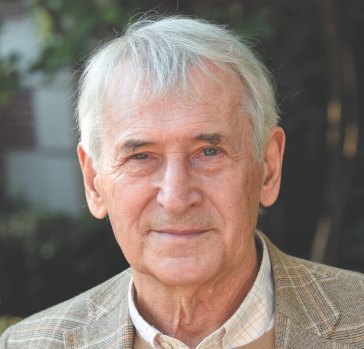 Există un șarpe sub covor? Privind dincolo de suprafață