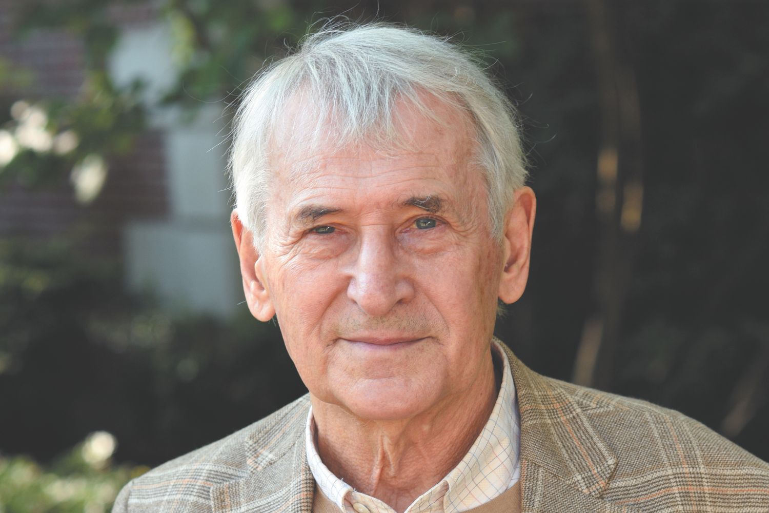 Există un șarpe sub covor? Privind dincolo de suprafață