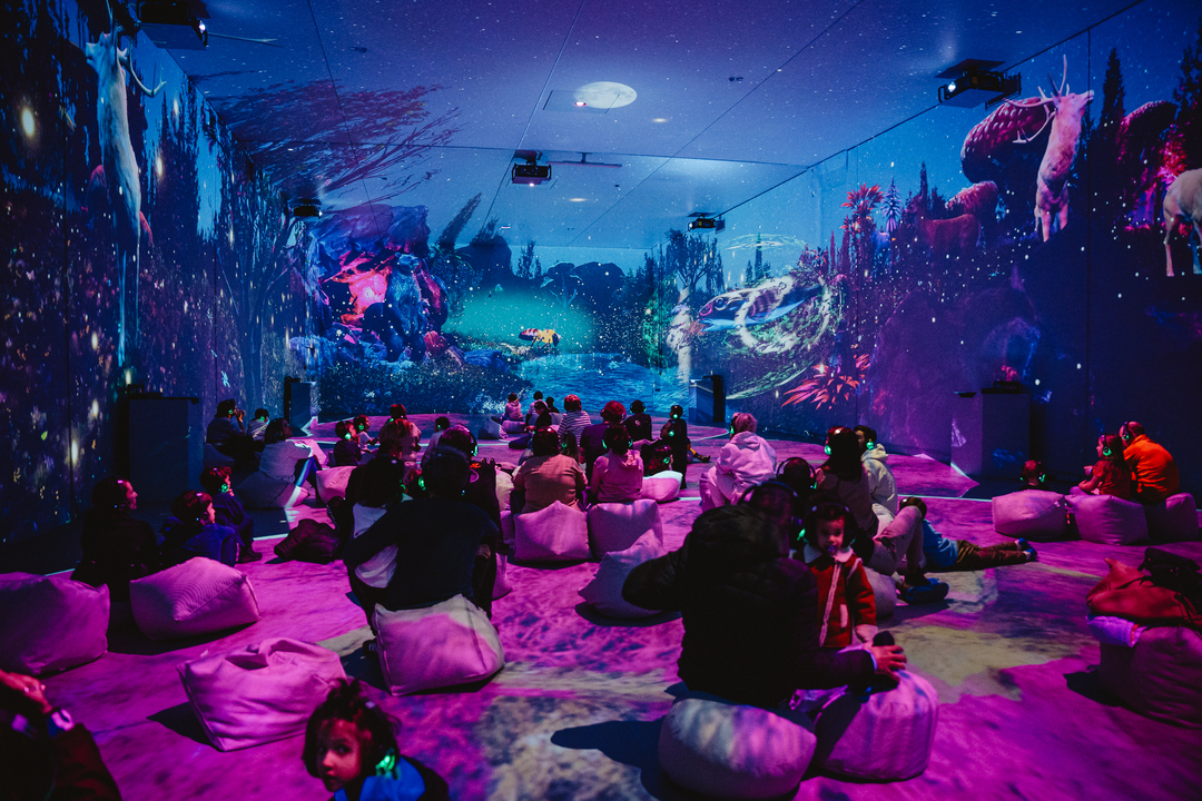 Show imersiv - Pădurea magică