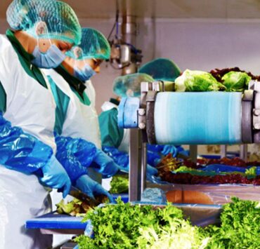 Eisberg, un reper privind securitatea alimentară a salatelor gata de consum