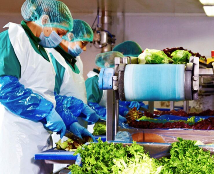 Eisberg, un reper privind securitatea alimentară a salatelor gata de consum