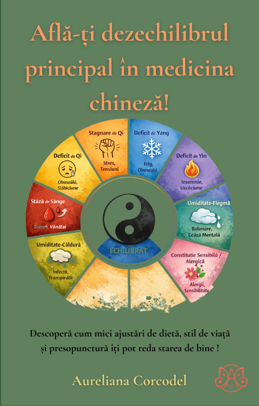 Oboseala care nu trece: 20 de semne că energia ta este scăzută 3 Afla-ti dezechilibrul principal in medicina chineza!